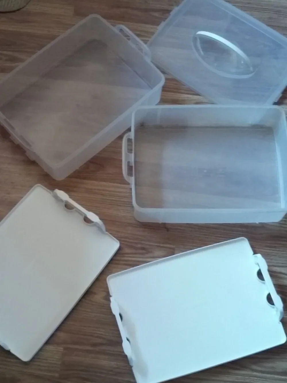 Snapware Reversible Trays Food Or Eggs Carrier
